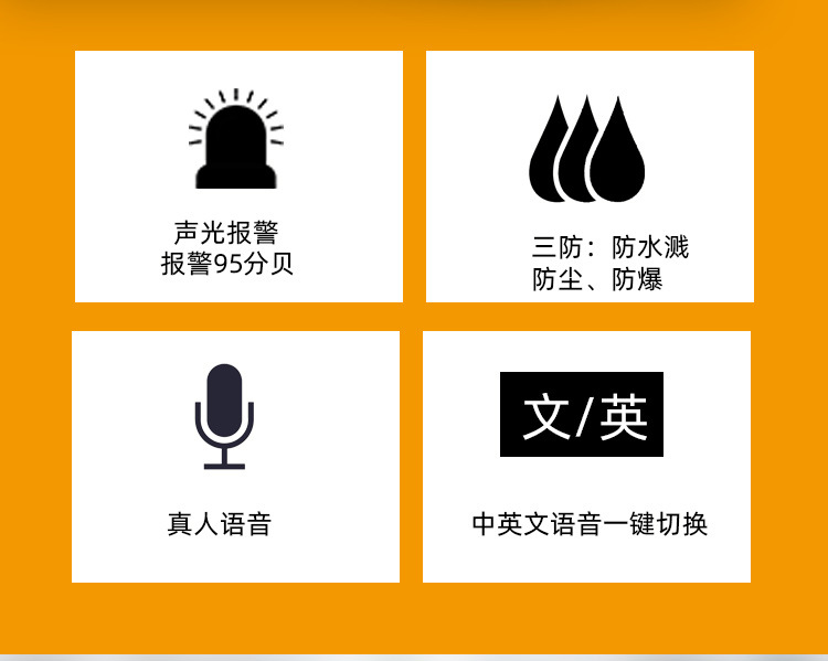 四合一氣體檢測(cè)儀
